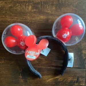 Disney park ears